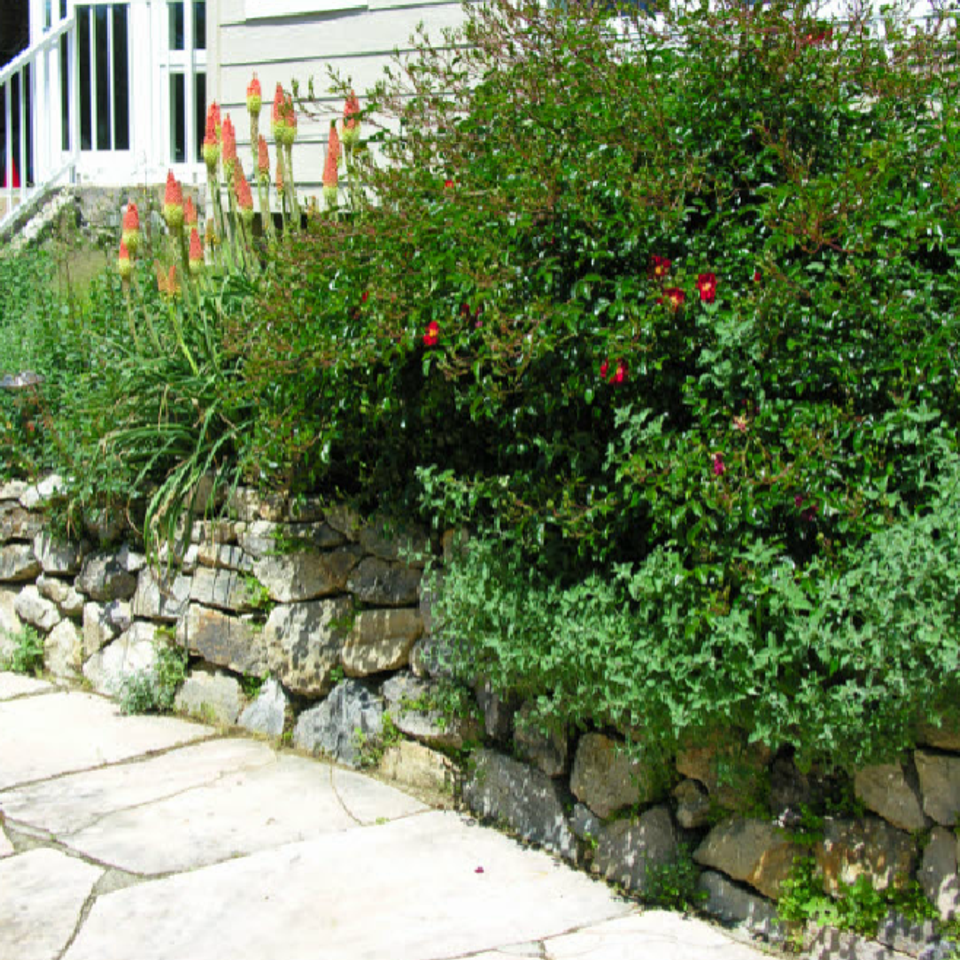 G71