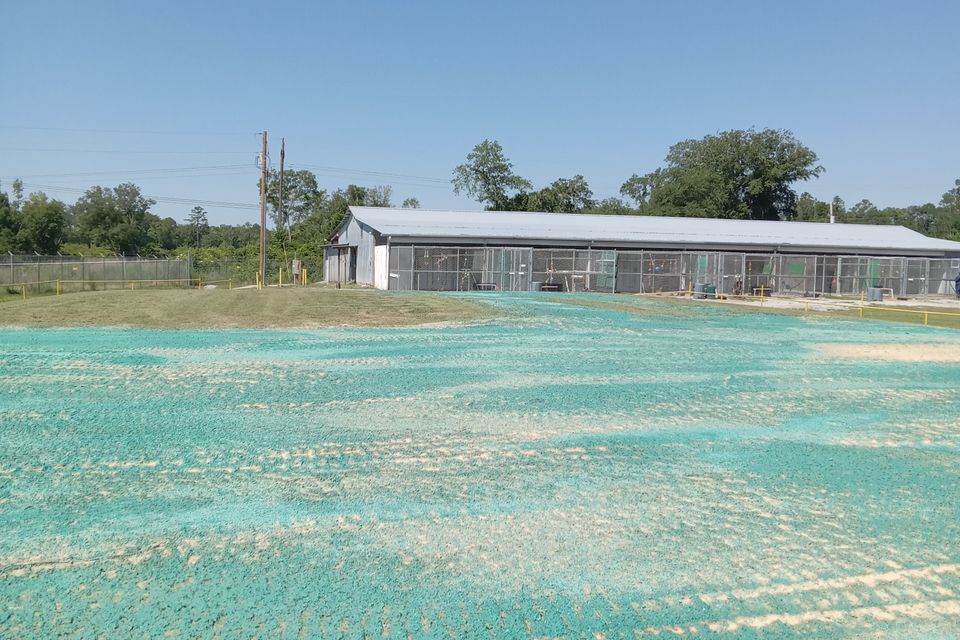 Commerciqal serptic fields