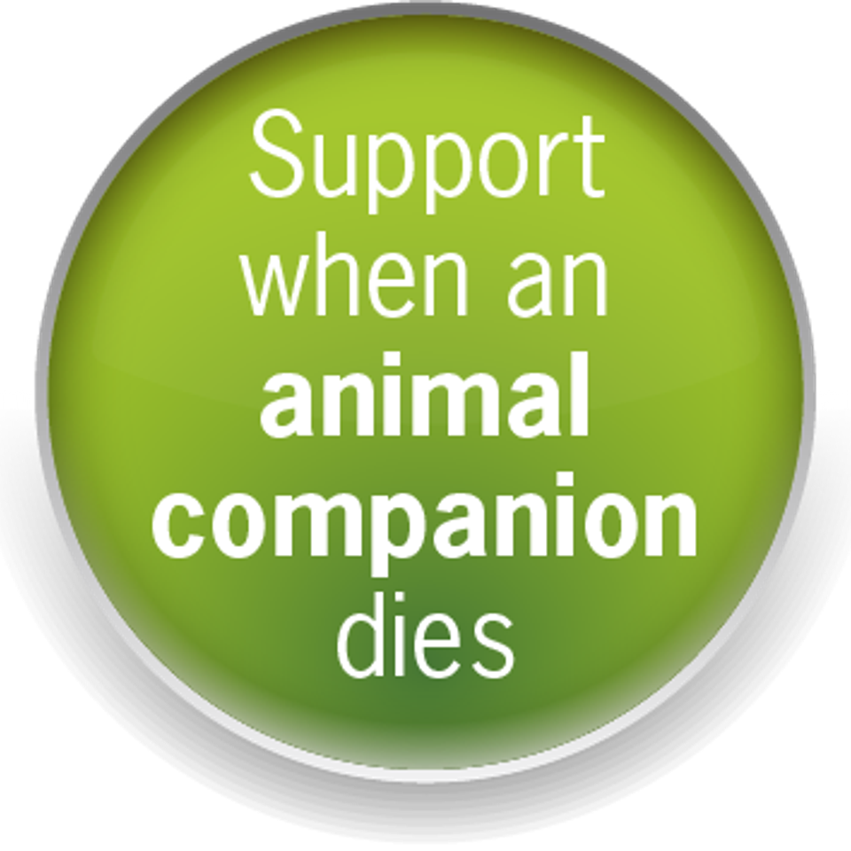 Button  support animal20170823 20638 14017dt