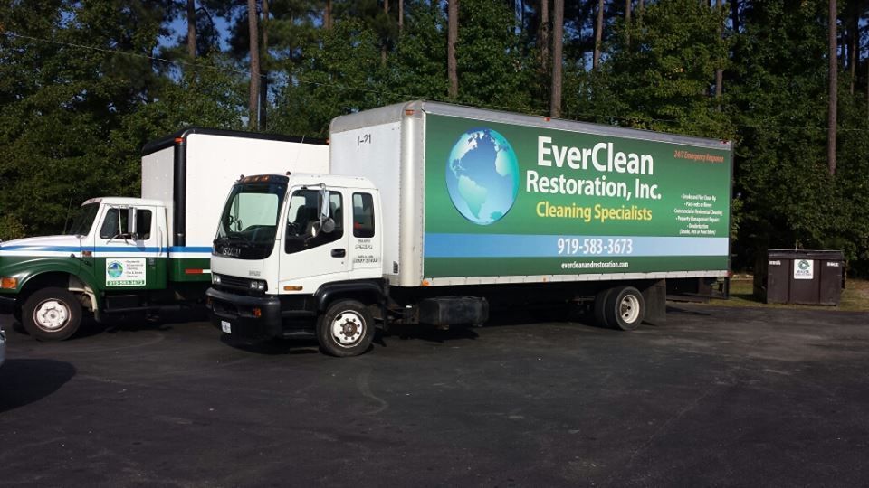 Mold removal, Mold remediation, Water damage remediation,