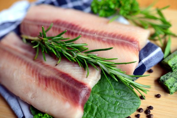 Fish g214c025c1 1920