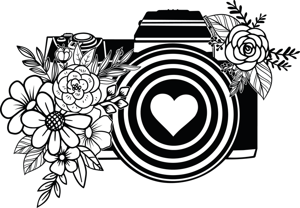 Profession   photographer camera 4 6