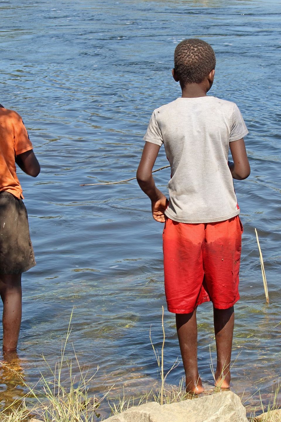 Local juvenile fishing ge030a5d04 1920