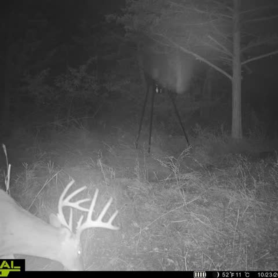 860322064001438 100 3 10232025235224 w1000423