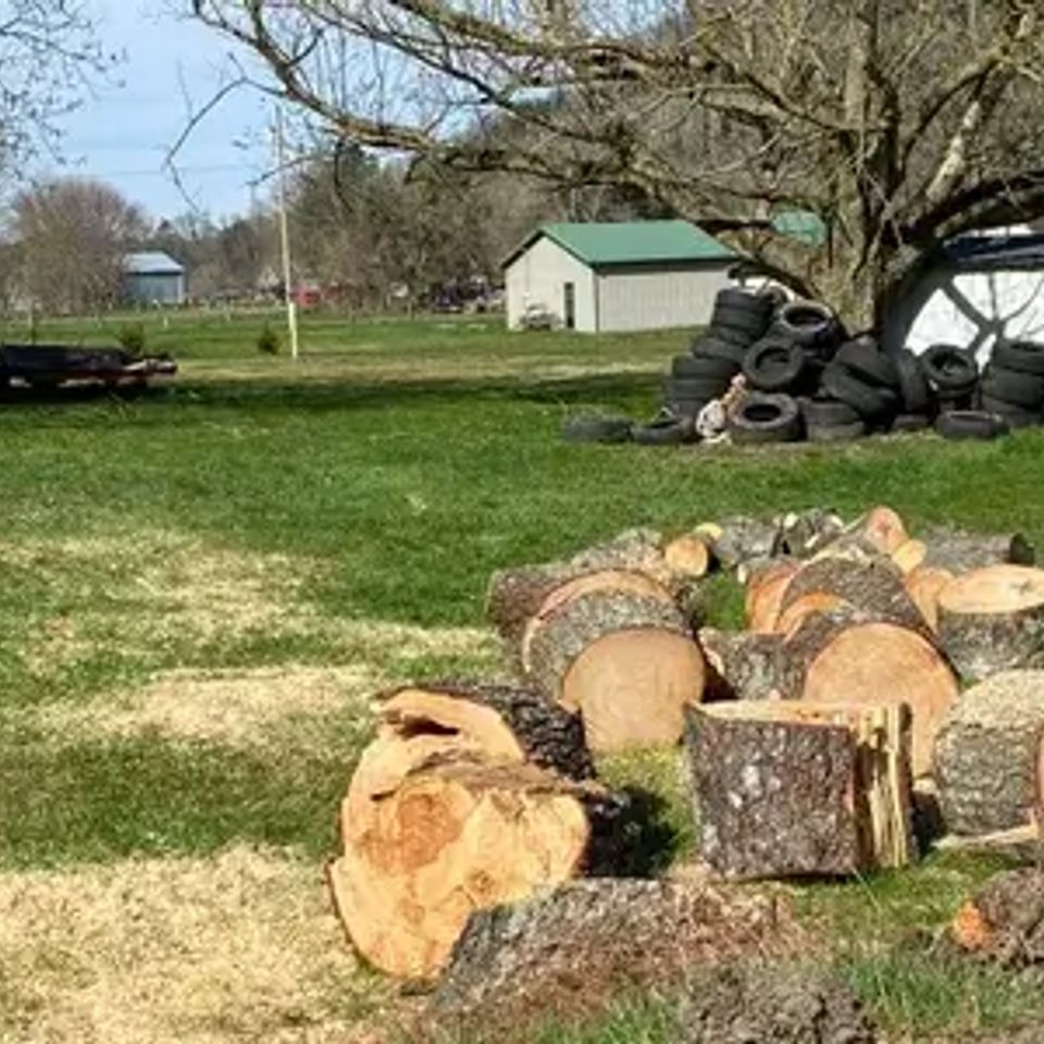 Treeremoval