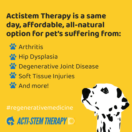 Actistem therapy