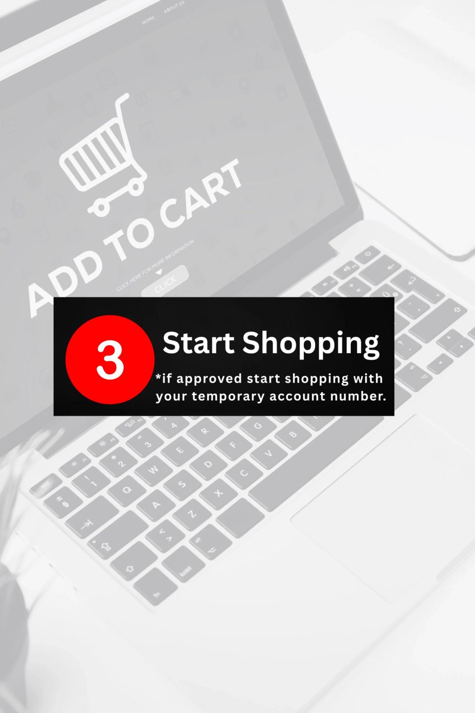 START SHOPPING