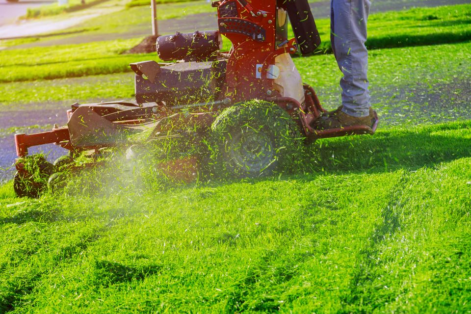 Grass enforcers lawn maintenance