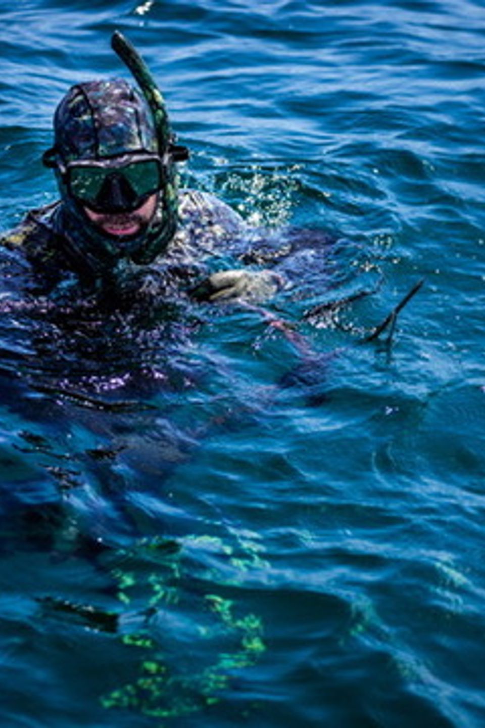 Df51fce2 5adb 48d6 9b52 ef961992be67 4 5005 c