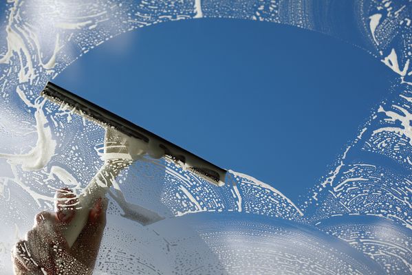 Window squeegee