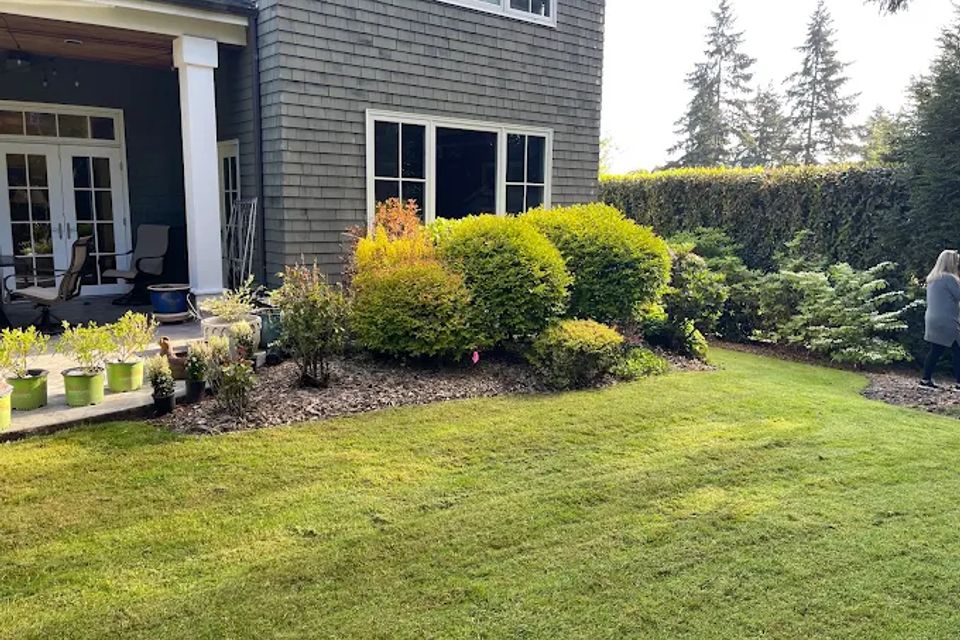 2024 02 07 (1) original