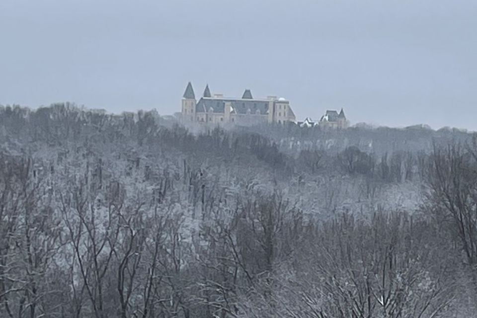 Bull creek in winter