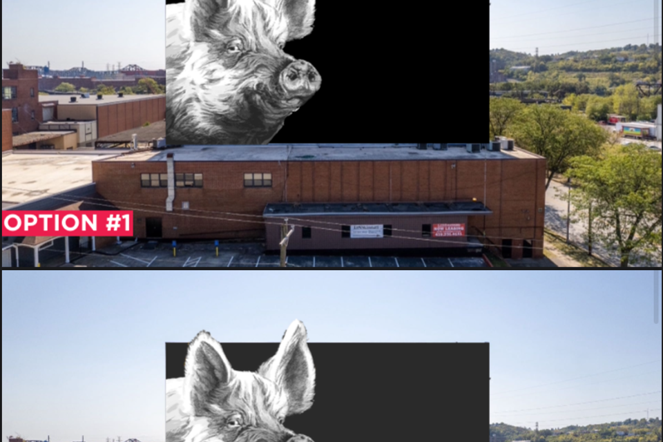 Ginger mural backgrounds