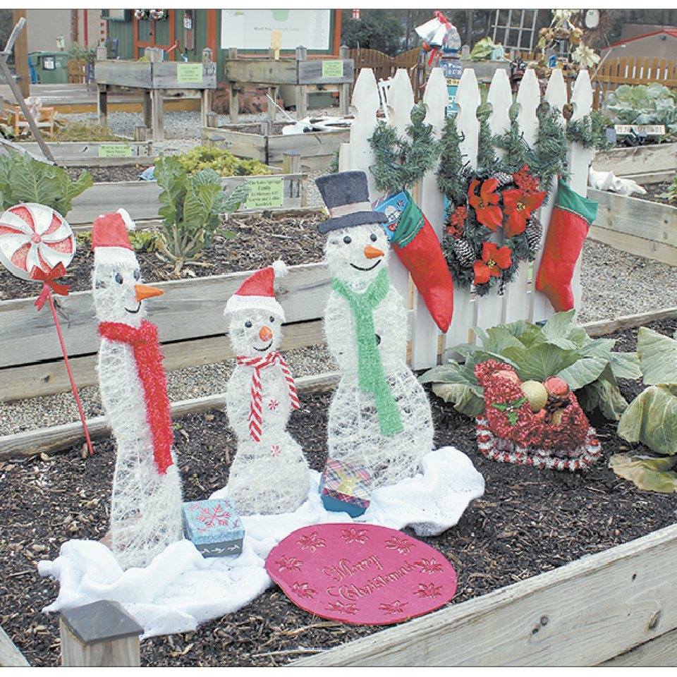 Garden4