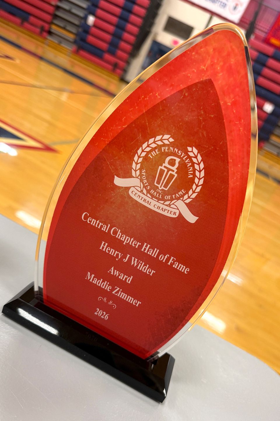 Maddie zimmer award