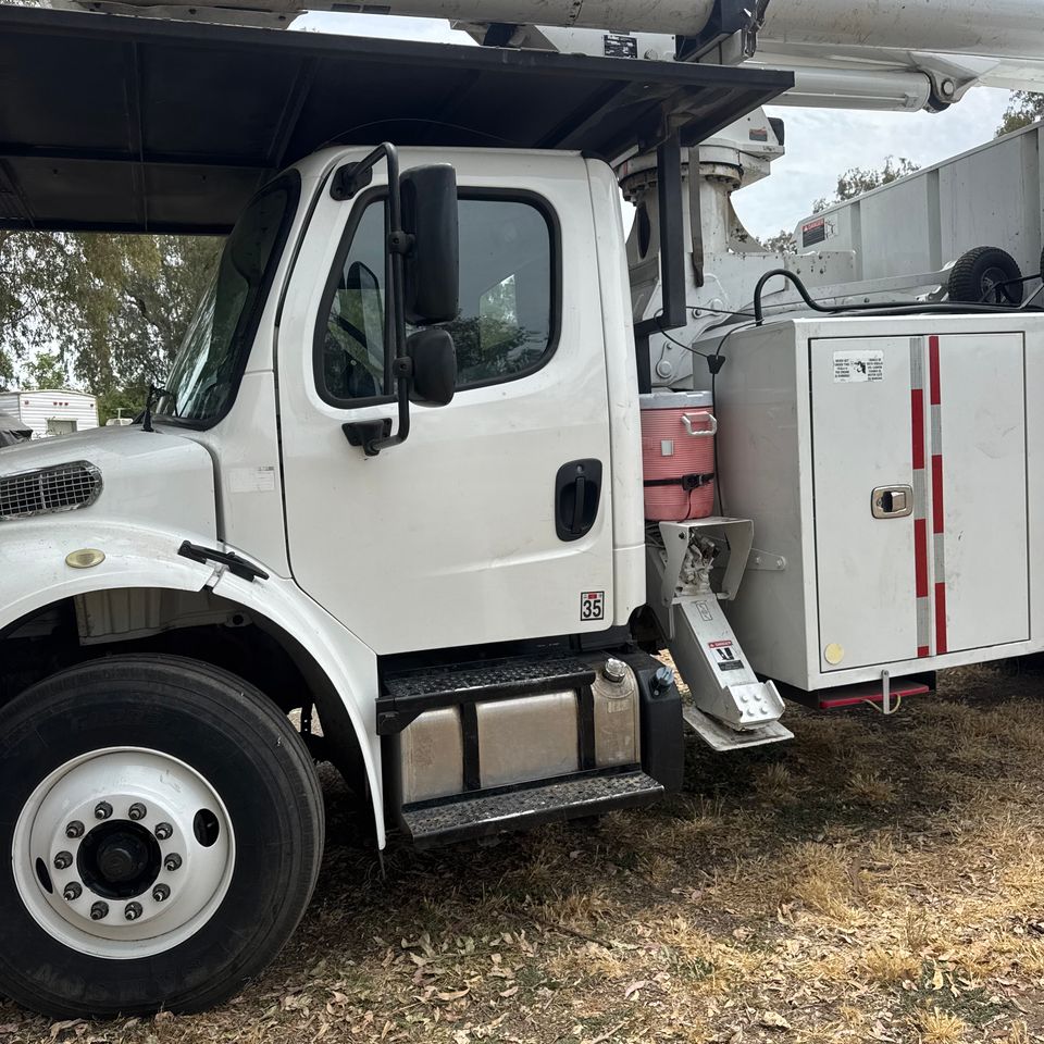 Fully bonded and insured tree care crew on a job site near Woodland CA