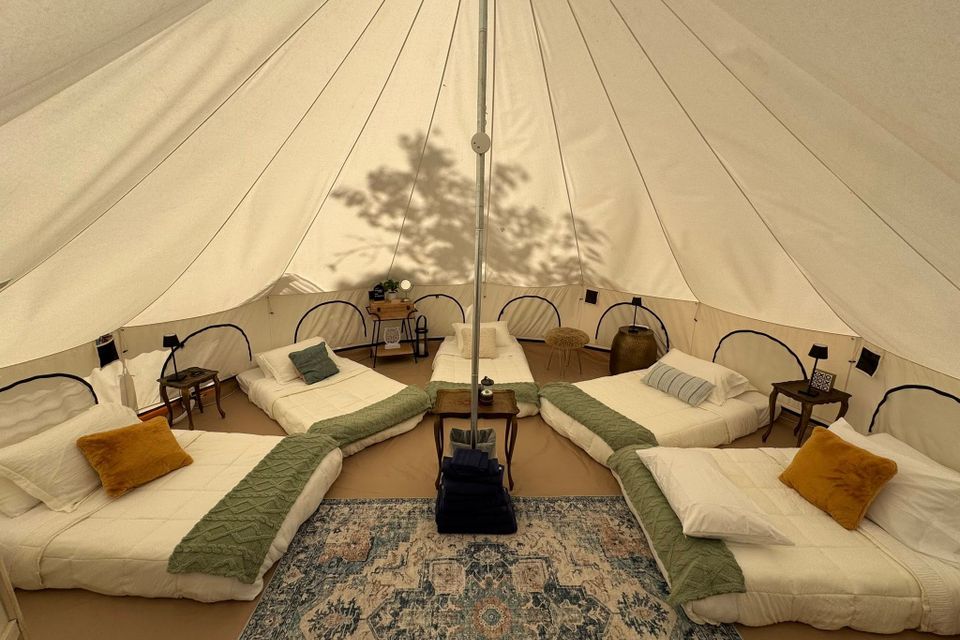 494704288 122166159284583527 3646972258051418321 n