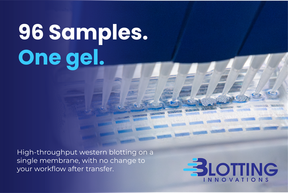 Shows 96 samples of Blotting Innovations products