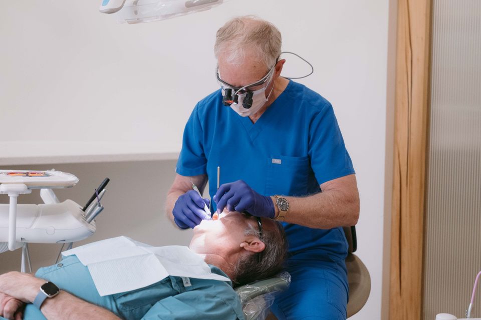Payne dentist 1012283