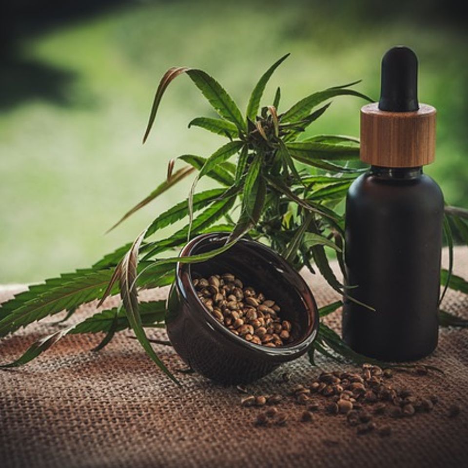 CBD and weed plant with a bowl and dropper bottle, showcasing cannabis consumption options.