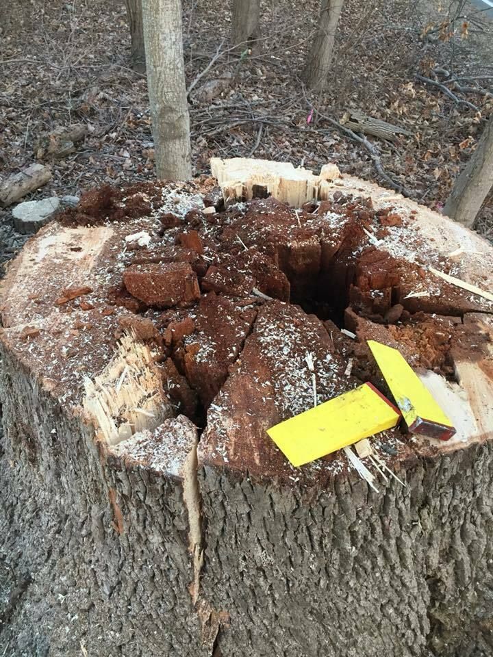 50751118 2081401815273946 2223948947930480640 n