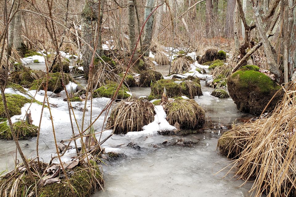 Svt grist mill winter landscape