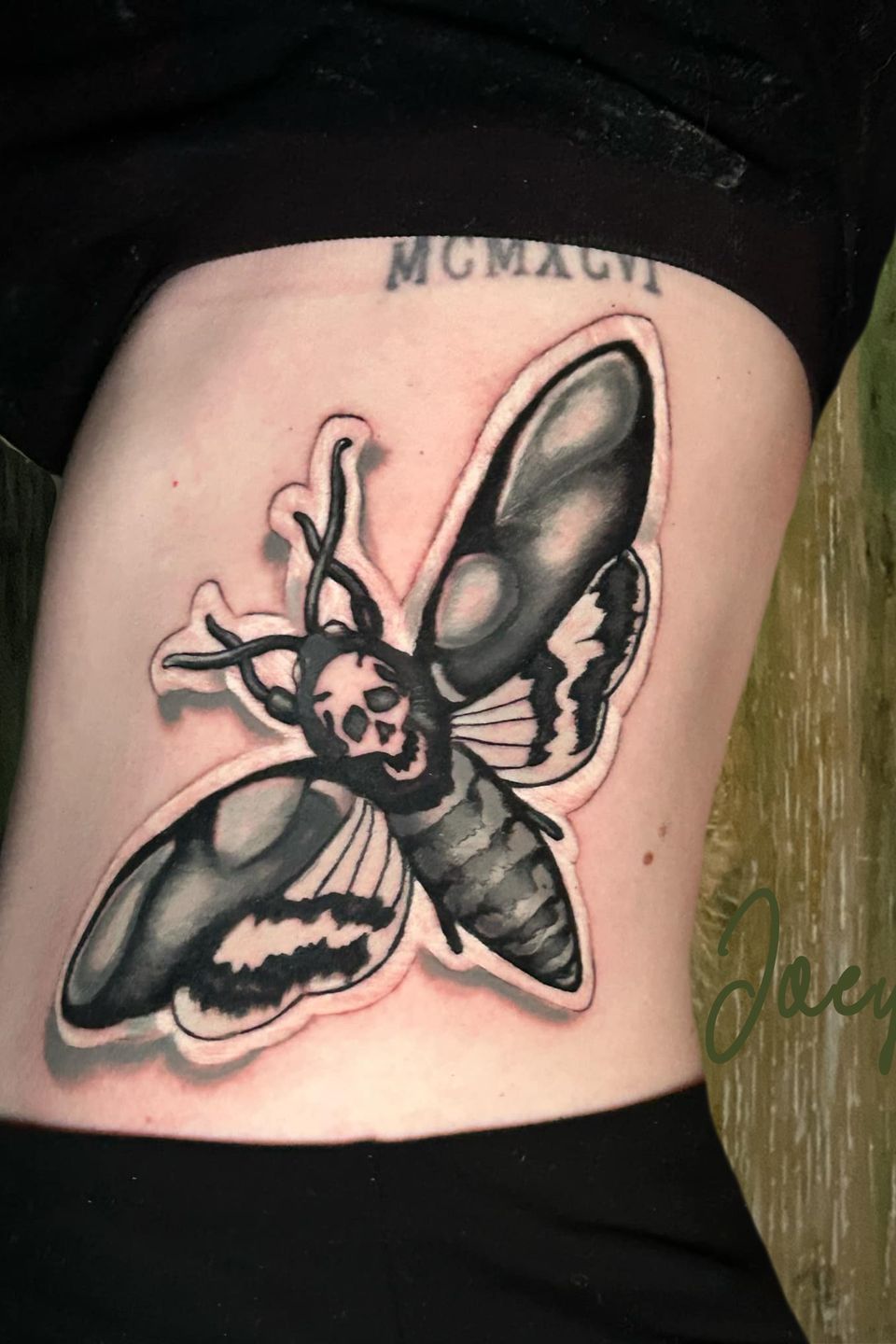 Joey dead head moth
