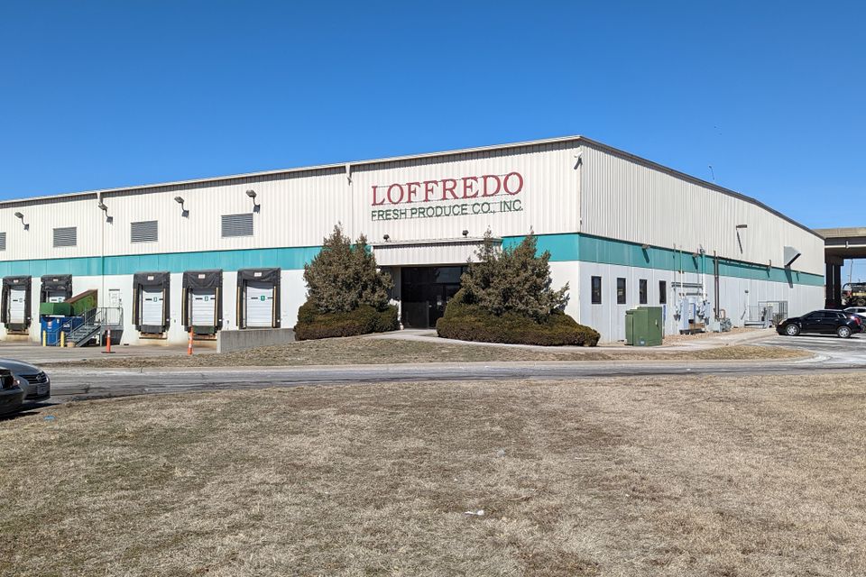 Lafreddo 4