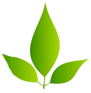 Evergreen Landscaping Soutions 