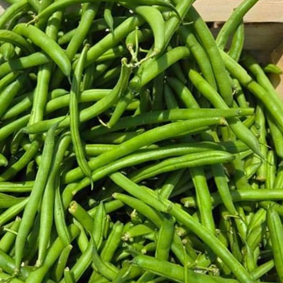 Green beans