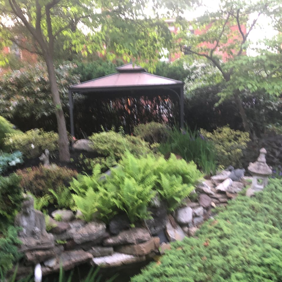 Img 7053