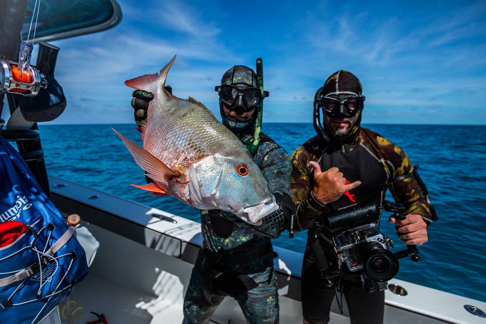 Mahi mahi bowfishing  2