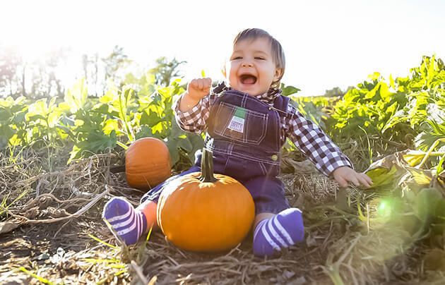 U pick pumpkins