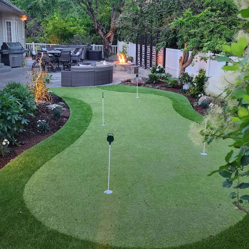 Backyard2