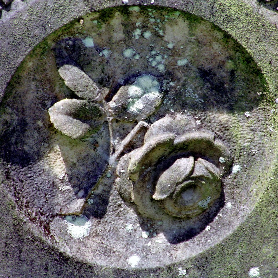 Stone rose