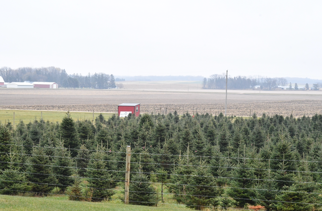 Screenshot 2025 12 04 at 3.49.40 pm