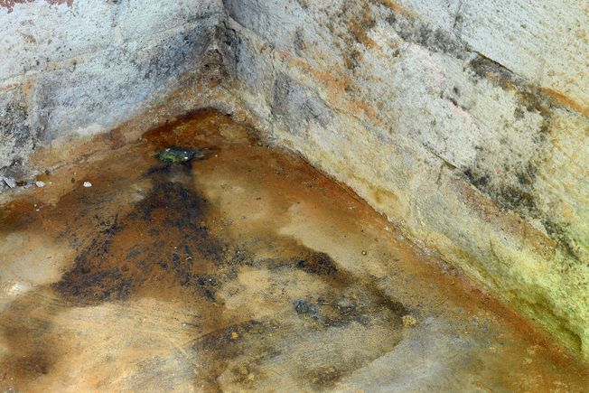 Bigstock water damage and mold in basem 230970319