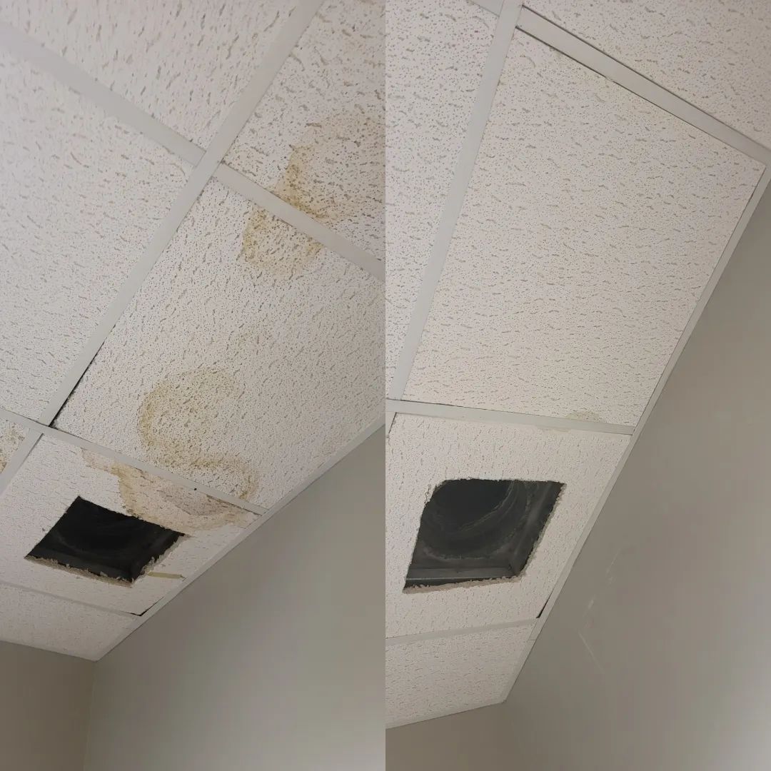 Floor restoration result