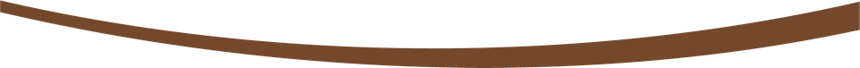 Asset 5