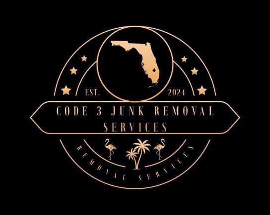 Code 3 ink removal logo