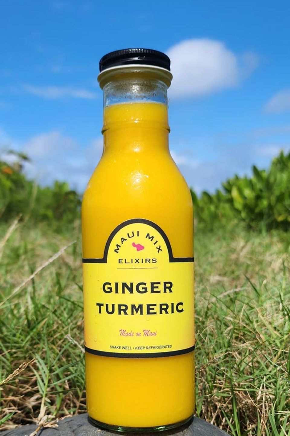 Ginger turmeric maui mixer