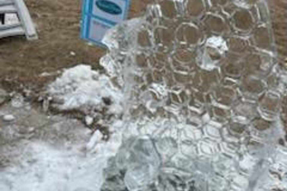 Ice carving 2025 40