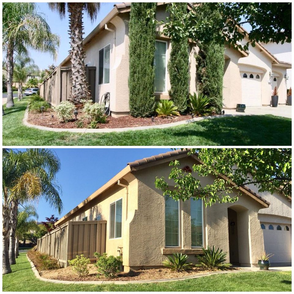 Before and after tree removal showing professional landscape clearing and thorough debris cleanup – Bud’s Tri-County Tree Services Inc. – Licensed #785788
