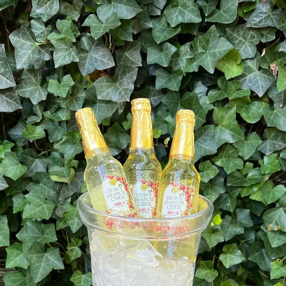 Icey Cold Heavy Branch Ciders chilling in an ice bucket, ready to pour.