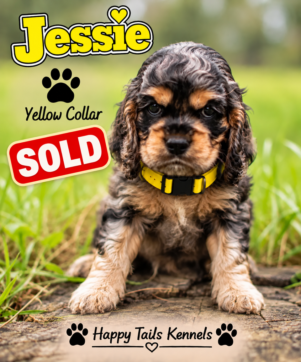 Puppy portrait with red sold badge