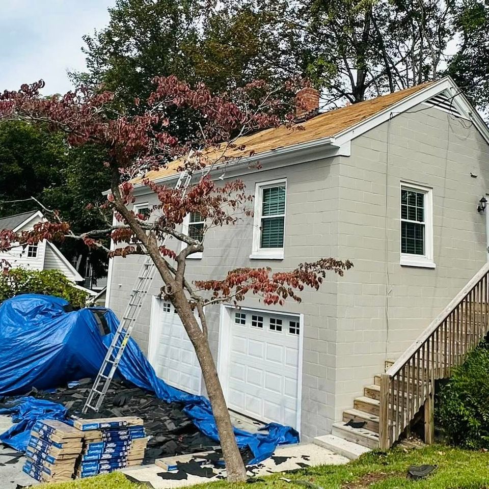 561437338 122236647824251276 6949237725056455753 n