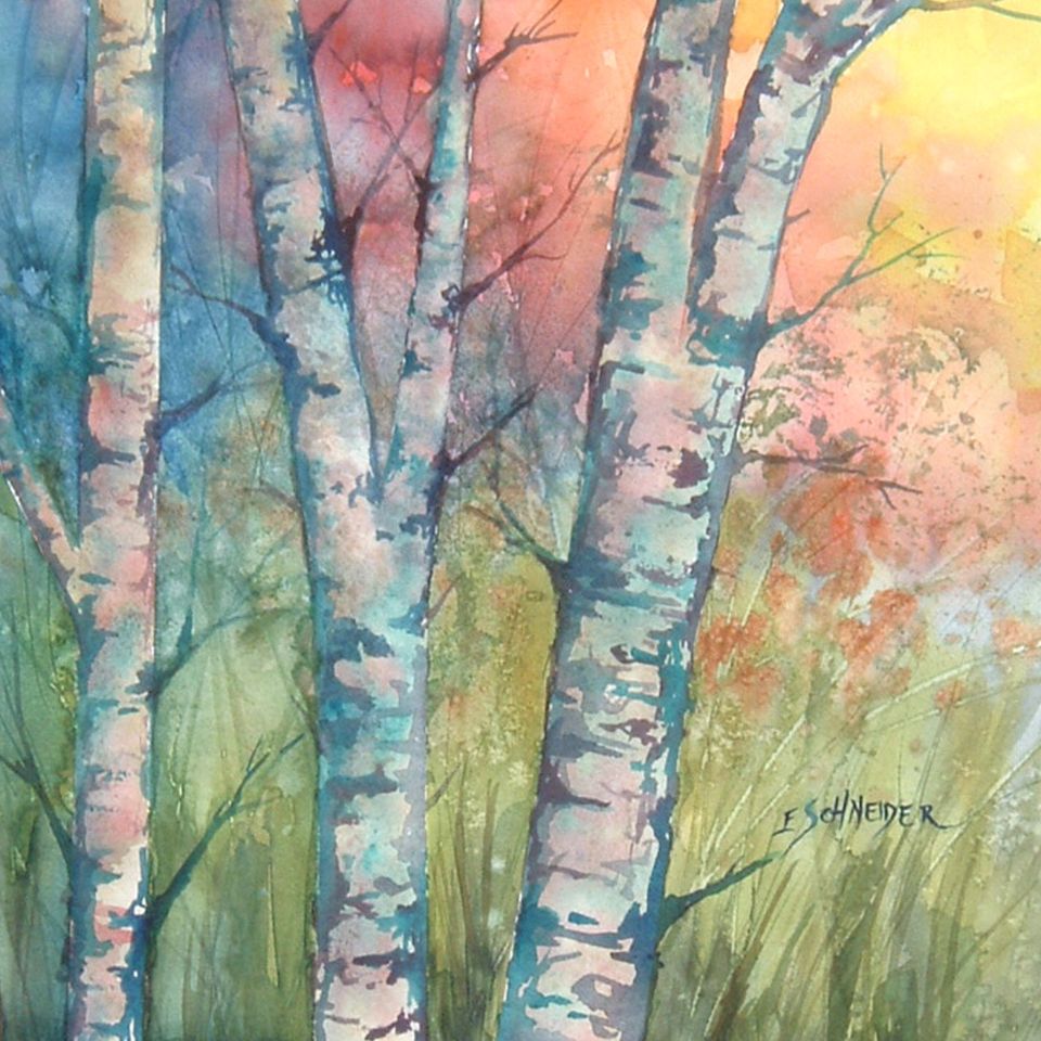Aspens at sunset