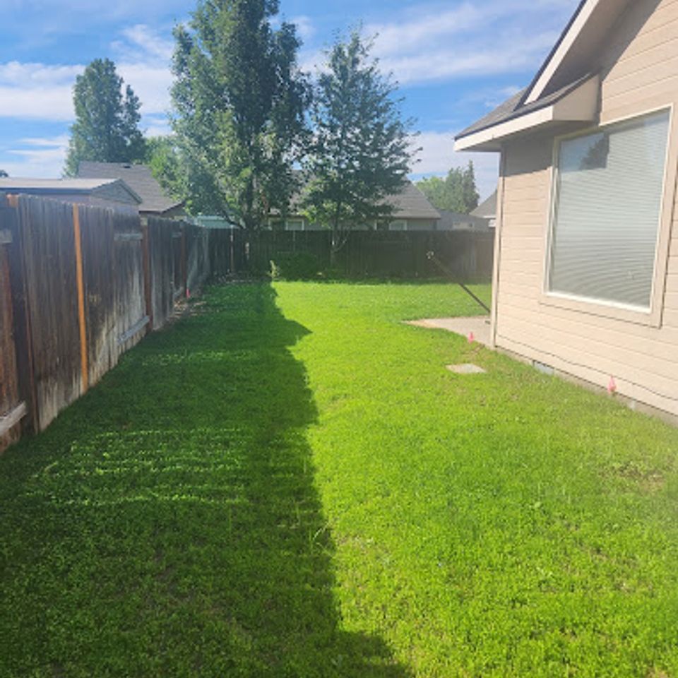 Backyard grass maintenance