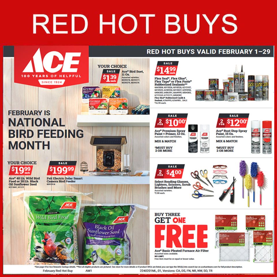 Ace hardware bike best sale shop