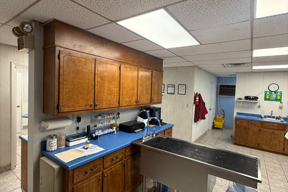 Img 0347